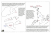 ame36 ingraham macao_thumb.gif